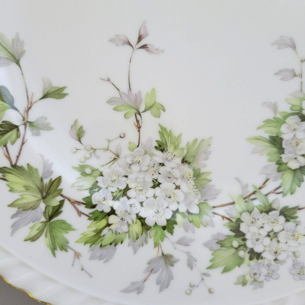 Vintage Franconia Hawthorn Dinner Plate, White Flowers & Leaves, Gadroon Border, - Picture 2 of 9